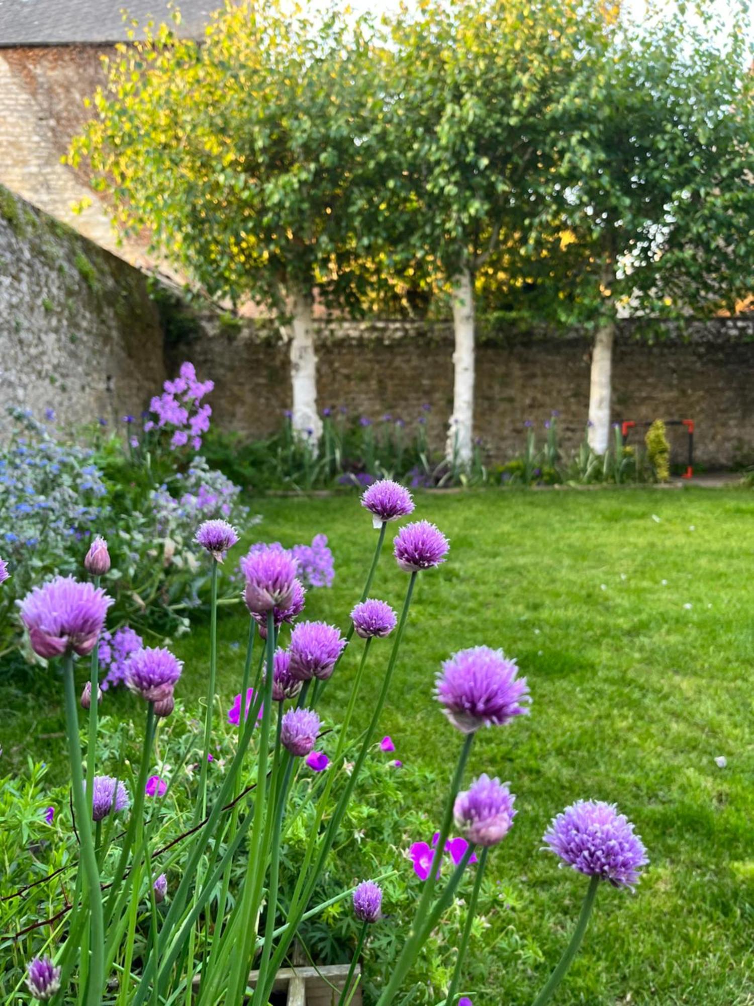 Maison Chaleureuse Avec Jardin - Pause Normande Sées Exterior foto